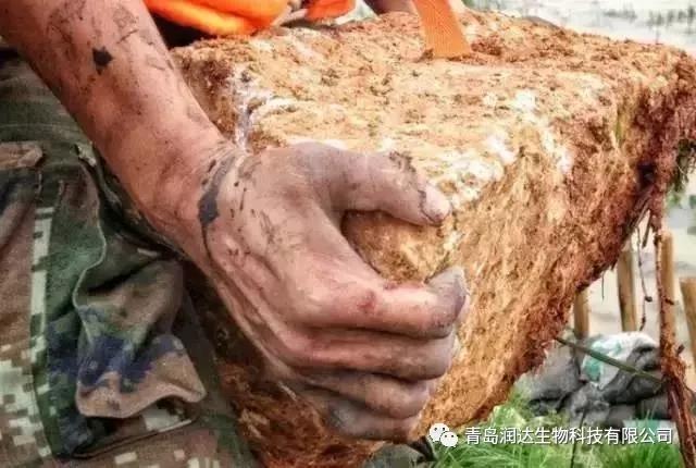  八一建軍節(jié) I 潤達(dá)致敬最可愛的人