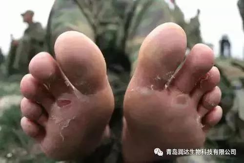  八一建軍節(jié) I 潤達(dá)致敬最可愛的人