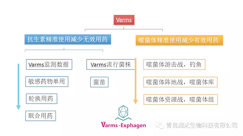  熱烈祝賀“Varms抗藥性監(jiān)測與噬菌體防控核心群啟動商討會”圓滿成功!!