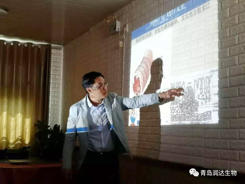 “潤(rùn)達(dá)蛋雞無(wú)抗中國(guó)行--商丘站”