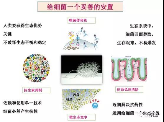 【瑞科盟，健康夢(mèng)】熱烈祝賀瑞科盟生物工程有限公司正式成立！