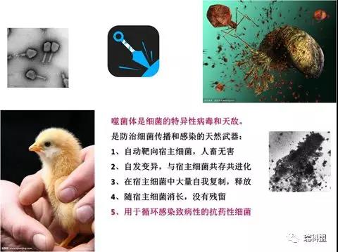 【瑞科盟，健康夢(mèng)】熱烈祝賀瑞科盟生物工程有限公司正式成立！