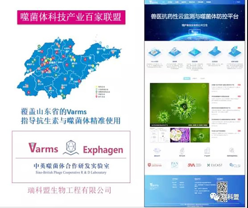  【同理念·共前行】熱烈歡迎中外專家蒞臨潤(rùn)達(dá)·瑞科盟參觀考察！