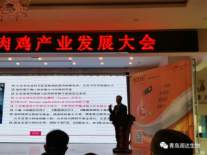 噬菌體相關(guān)介紹