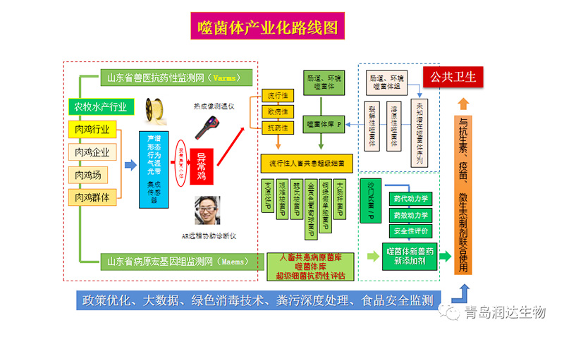 噬菌體產(chǎn)業(yè)化路線圖