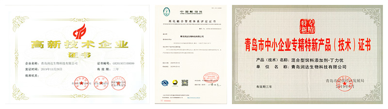 公司榮譽(yù)