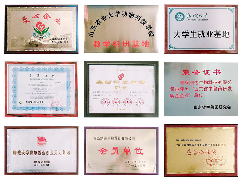 公司榮譽(yù)