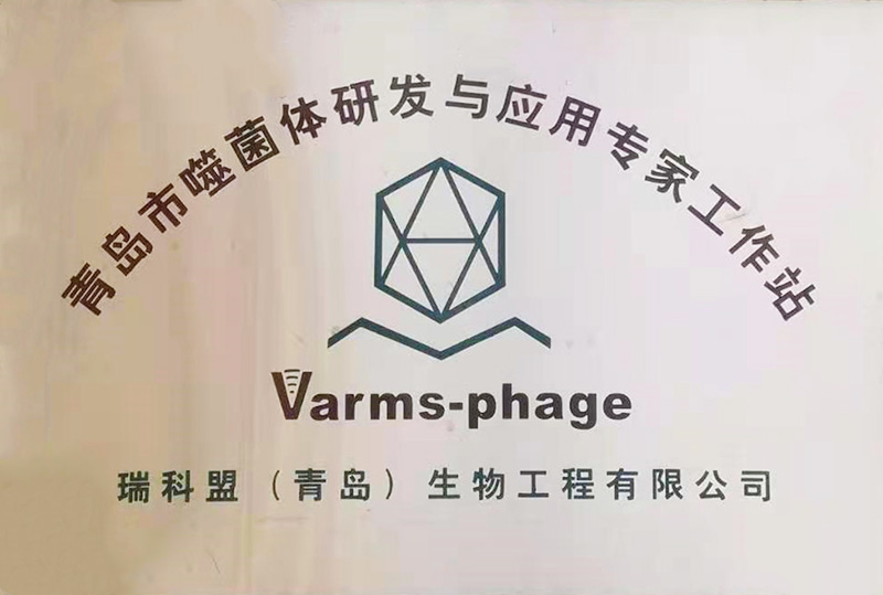 青島市噬菌體研發(fā)與應(yīng)用專家工作站