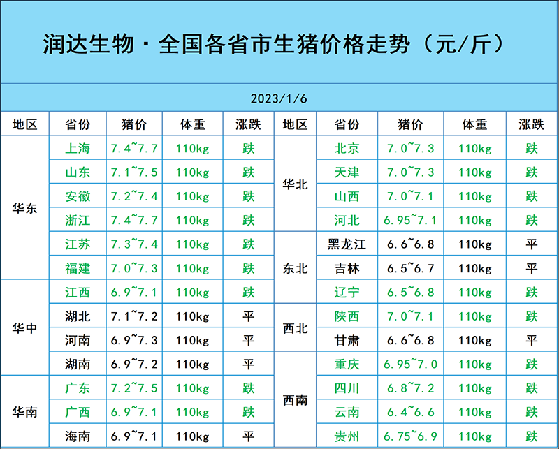 1月6日豬價(jià)行情