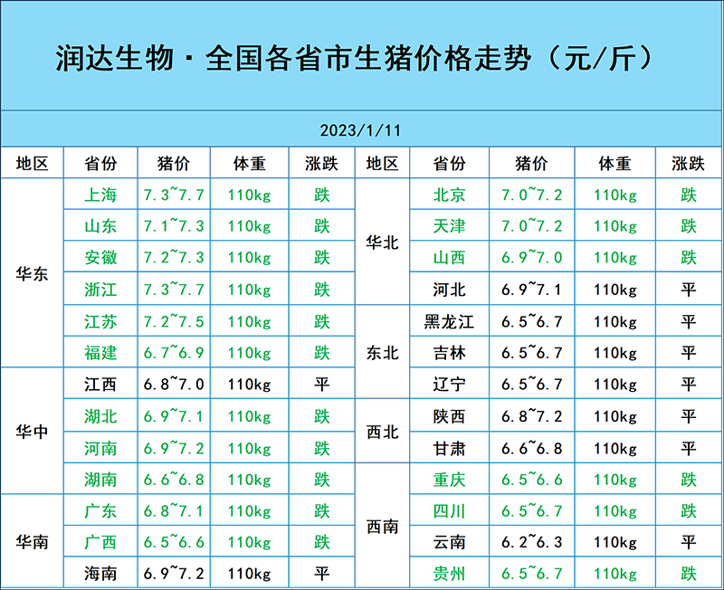 1月11日豬價(jià)行情