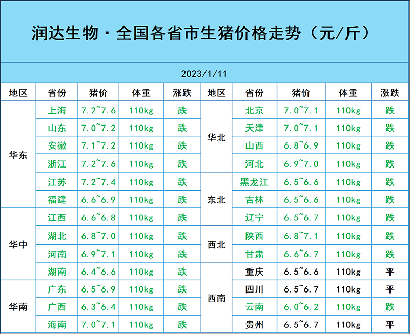 1月12日豬價行情