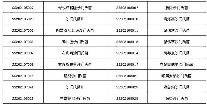 研發(fā)創(chuàng)新，我們一直在路上||一株高裂解率噬菌體沙門氏菌噬菌體的分離及其應(yīng)用