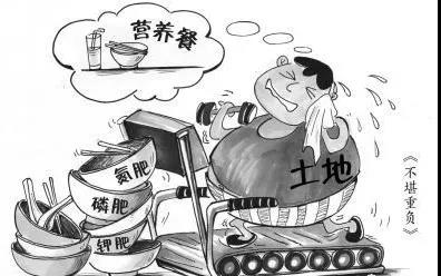 雞糞豬糞要成寶貝了，農(nóng)業(yè)農(nóng)村部推進有機肥替代化肥行動