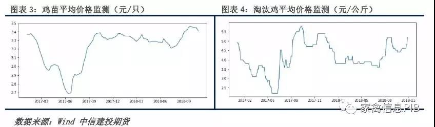 11月下旬開始 雞蛋將會進入新的備貨節(jié)奏