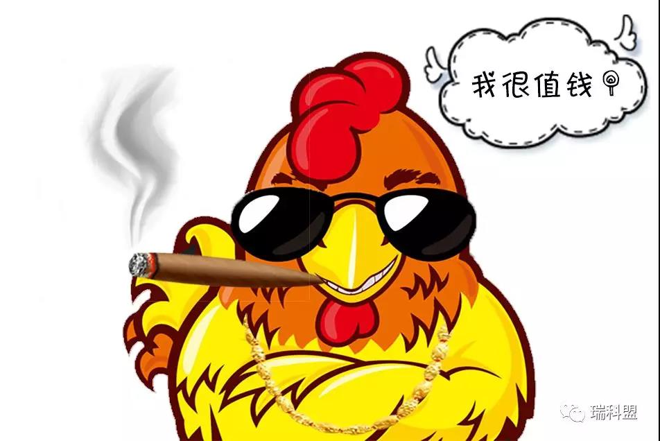 雞苗如此高價(jià)格下，如何做好雞雛的凈化防控與管理？