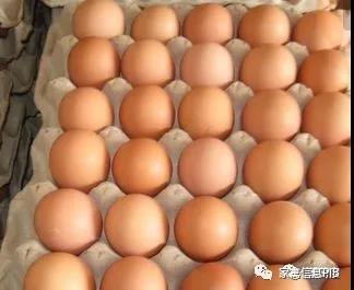 2019上半年，蛋價(jià)“漲跌不易、格局難變”