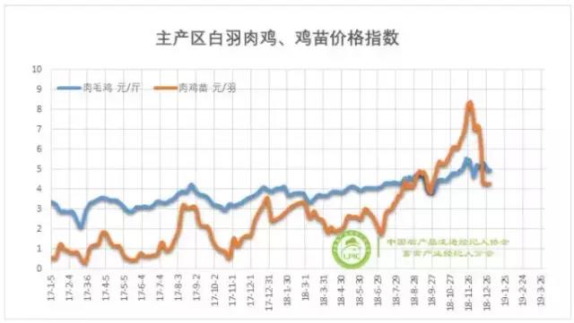  2019年白羽肉雞行業(yè)展望