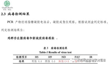 檢測(cè)報(bào)告結(jié)果