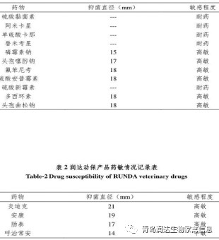 檢測(cè)報(bào)告結(jié)果