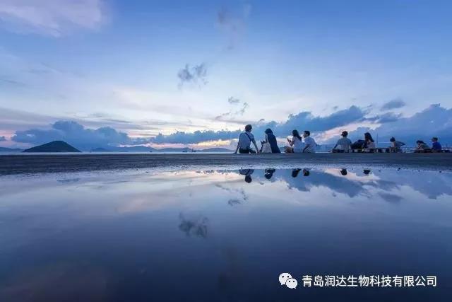 寬容，是世上最好的美德
