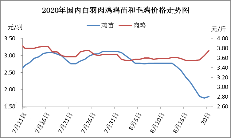 毛雞和雞苗價(jià)格走勢圖