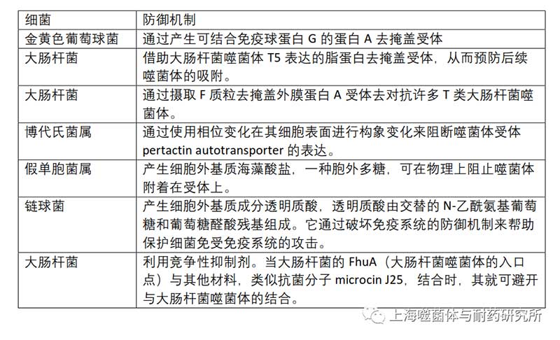 細(xì)菌防止噬菌體吸附 細(xì)菌防止噬菌體吸附