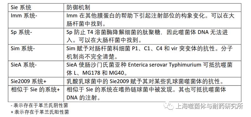超感染排除 (Sie) 系統(tǒng)抵抗噬菌體 DNA 超感染排除 (Sie) 系統(tǒng)抵抗噬菌體 DNA