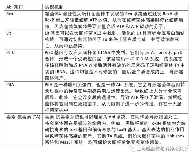 細(xì)菌進(jìn)化出噬菌體流產(chǎn)感染(Abi)系統(tǒng) 細(xì)菌進(jìn)化出噬菌體流產(chǎn)感染(Abi)系統(tǒng)