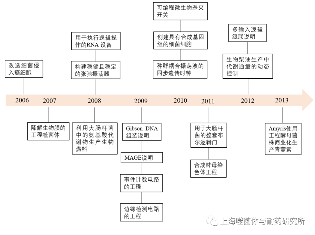 合成生物學(xué)的發(fā)展及在噬菌體中的應(yīng)用