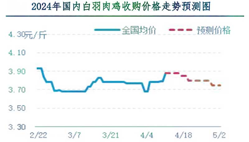 肉雞市場下周行情預(yù)測 肉雞市場下周行情預(yù)測