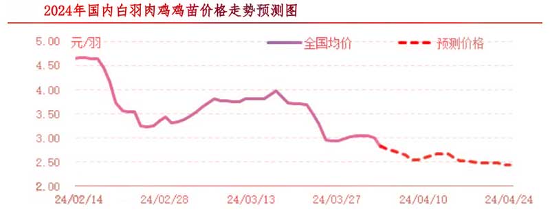 肉雞市場下周行情預測