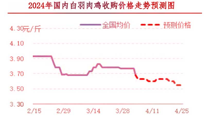 肉雞市場下周行情預測