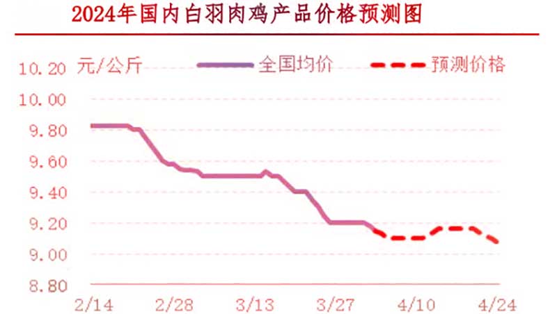 肉雞市場下周行情預測