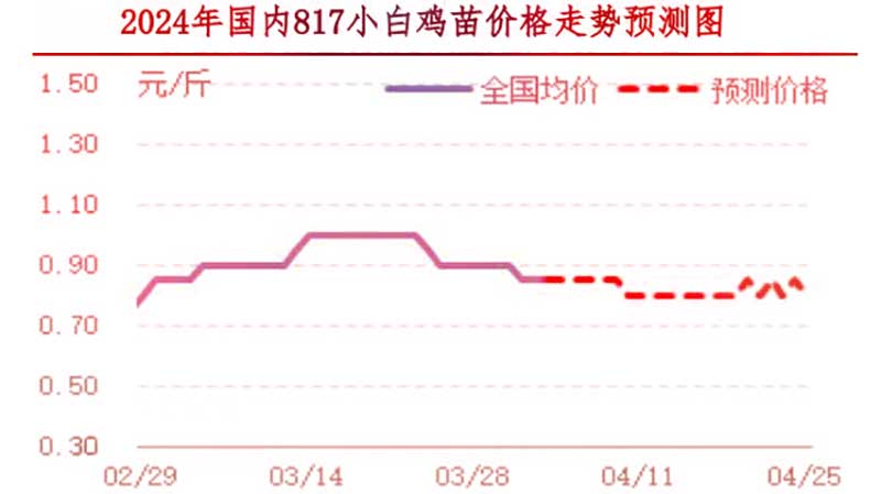 肉雞市場下周行情預測