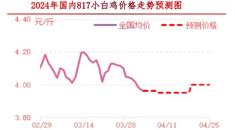 肉雞市場下周行情預測