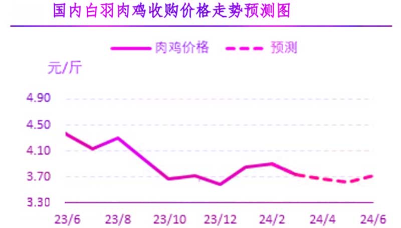 4月肉雞市場(chǎng)行情預(yù)測(cè)