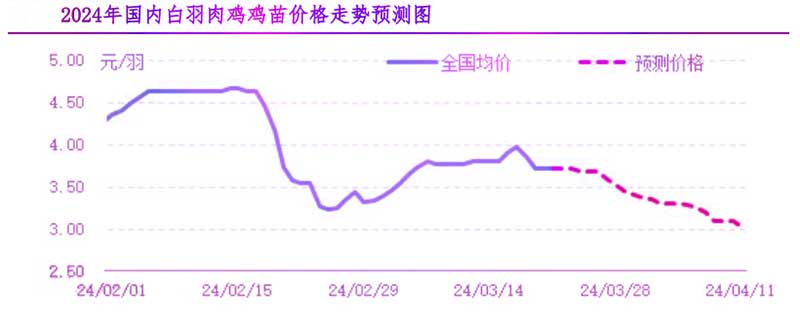 肉雞市場下周行情預測