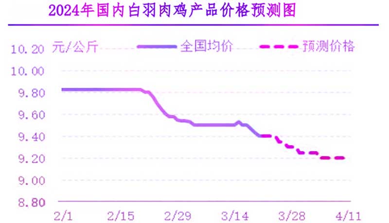肉雞市場下周行情預測