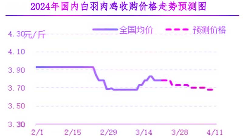 肉雞市場下周行情預測