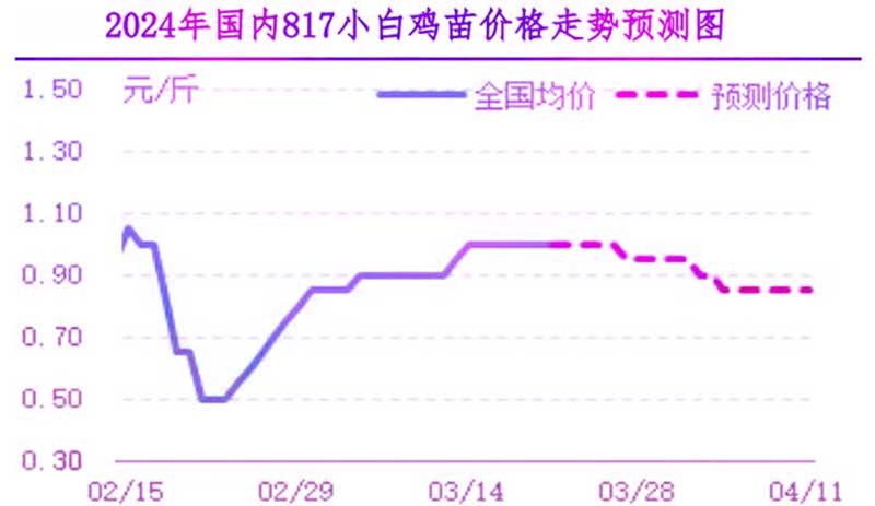 肉雞市場下周行情預測