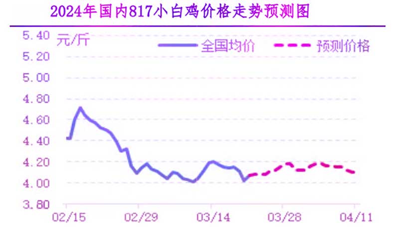 肉雞市場下周行情預測