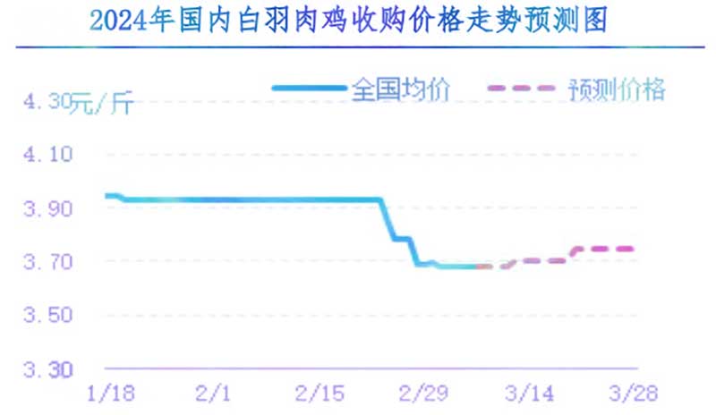 肉雞市場(chǎng)下周行情預(yù)測(cè)