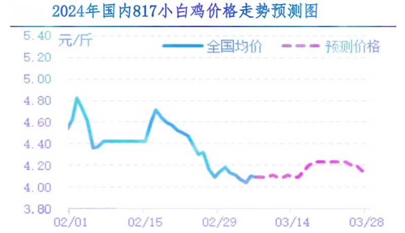 肉雞市場(chǎng)下周行情預(yù)測(cè)