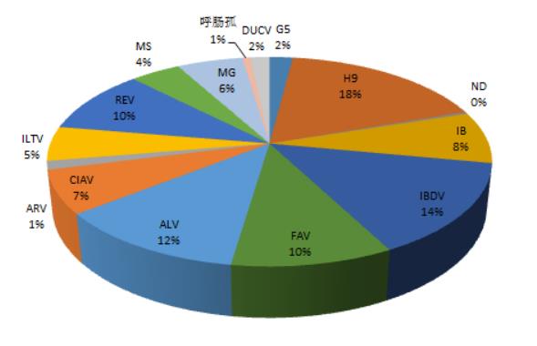 家禽病原檢出情況