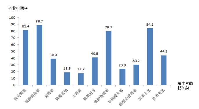 普通抗生素藥敏結(jié)果