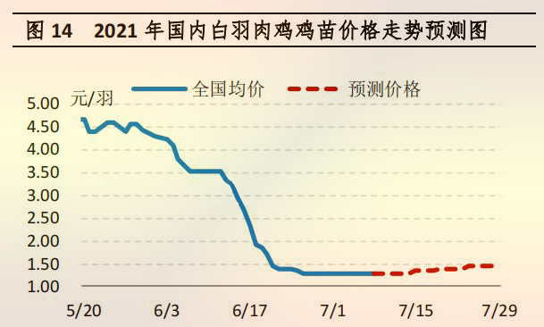國(guó)內(nèi)白羽肉雞雞苗價(jià)格走勢(shì)預(yù)測(cè)圖
