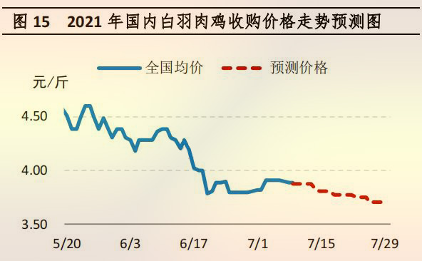 國(guó)內(nèi)白羽肉雞收購(gòu)價(jià)格走勢(shì)預(yù)測(cè)圖