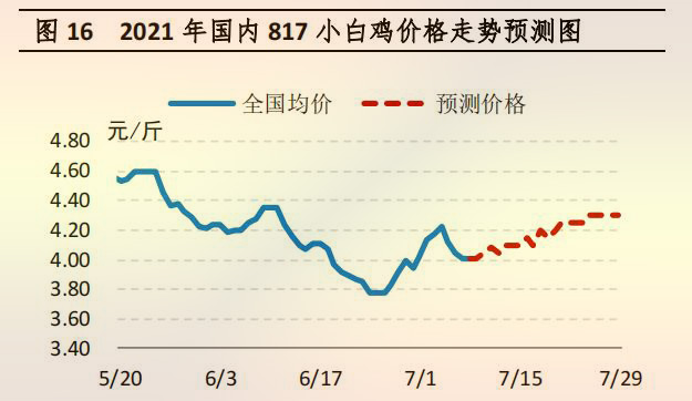 國(guó)內(nèi) 817 小白雞價(jià)格走勢(shì)預(yù)測(cè)圖