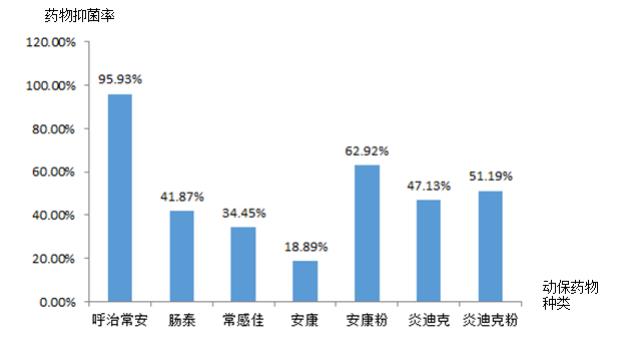 圖3 動(dòng)保藥物藥敏結(jié)果