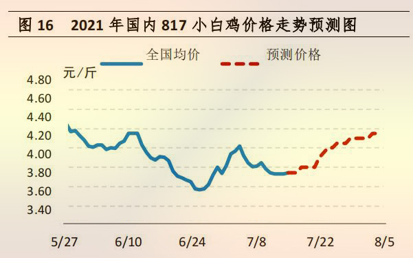 國(guó)內(nèi) 817 小白雞價(jià)格走勢(shì)預(yù)測(cè)圖